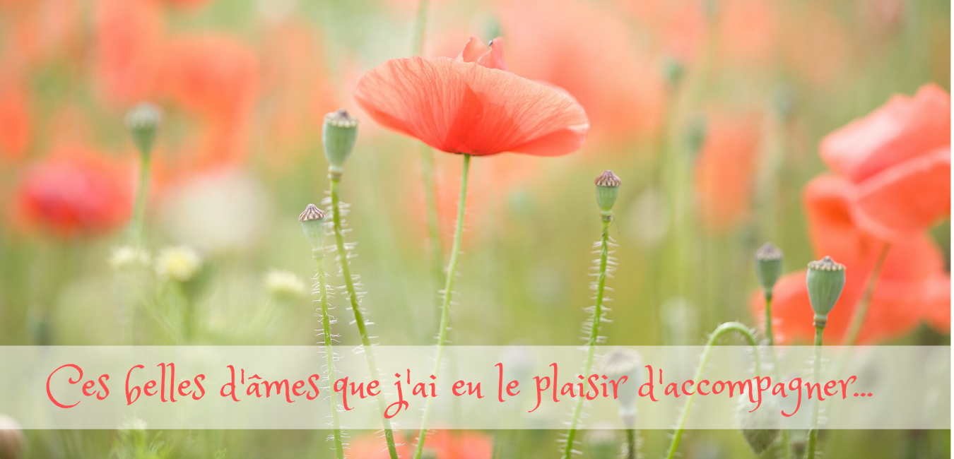 HOME PAGE coquelicot_1